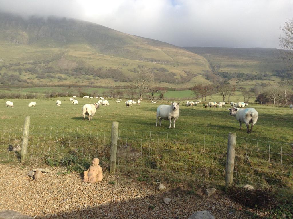 Benbulben Farmhouse B&B Drumcliff Экстерьер фото